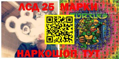 индика Малгобек