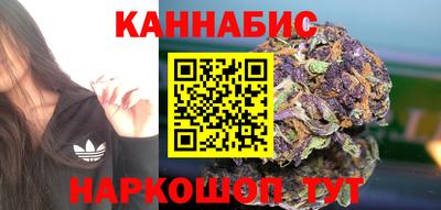 индика Малгобек
