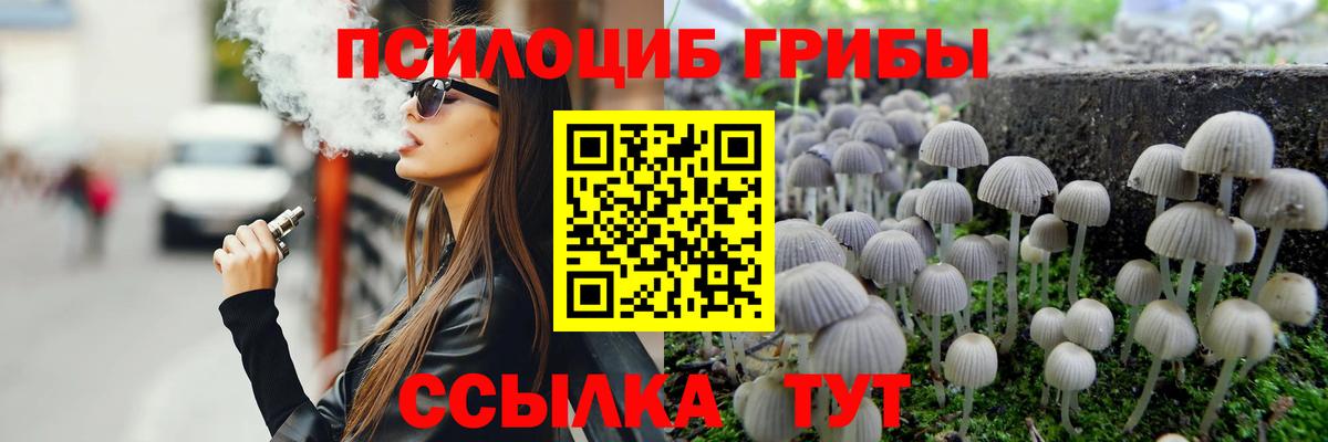 Галлюциногенные грибы Psilocybe Тула