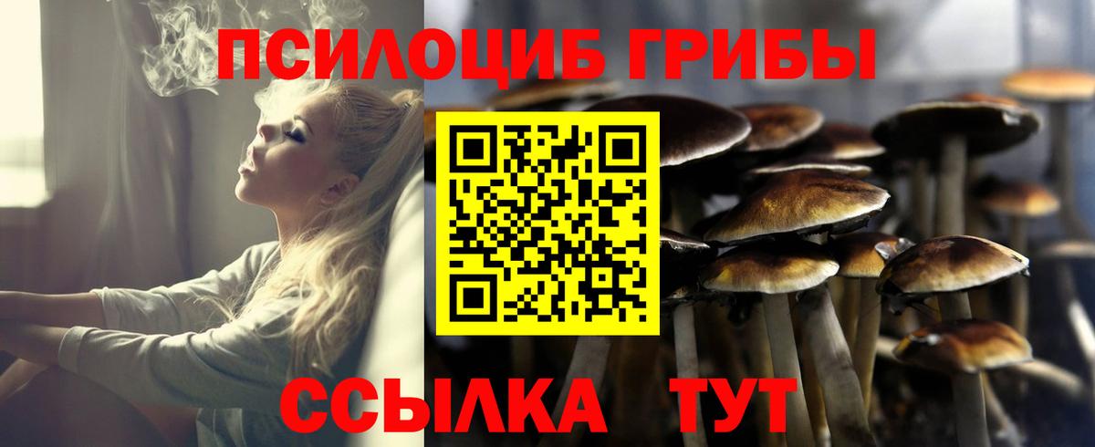Тула  Псилоцибиновые грибы Psilocybe  Псилоцибиновые грибы GOLDEN TEACHER  Вход с VPN 
